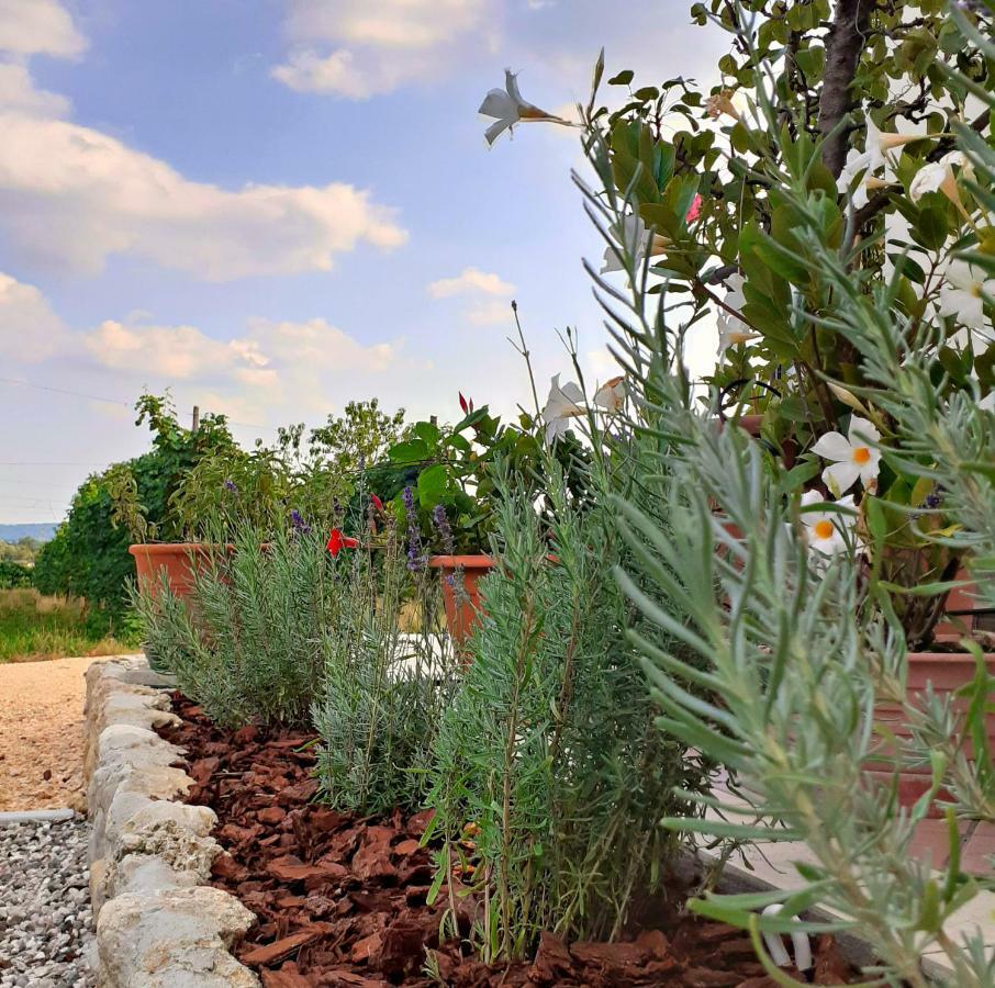 Le Vigne Di Annalisa Sweet Relax Rooms In Unesco Prosecco D.O.C.G. Farra di Soligo Eksteriør billede